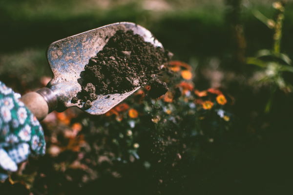 digging gardening