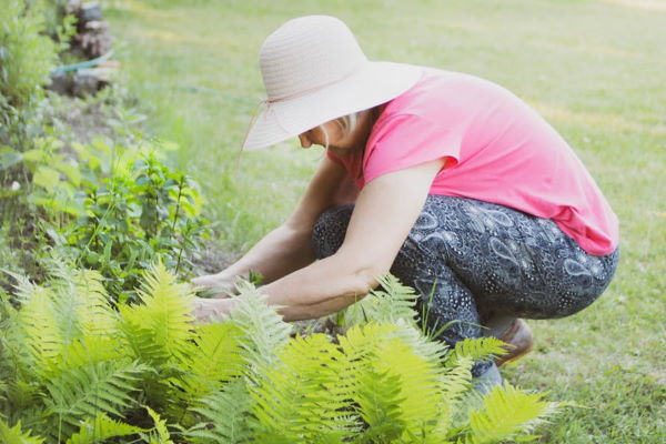 garden exercise